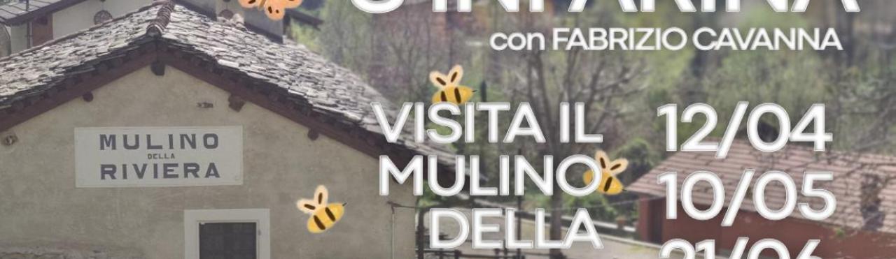 VISITE AL MULINO
